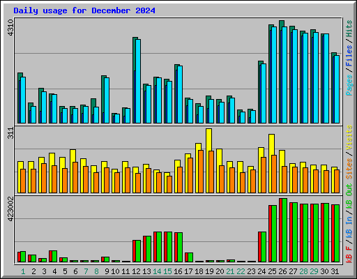 Daily usage for December 2024