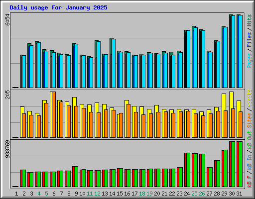Daily usage for January 2025
