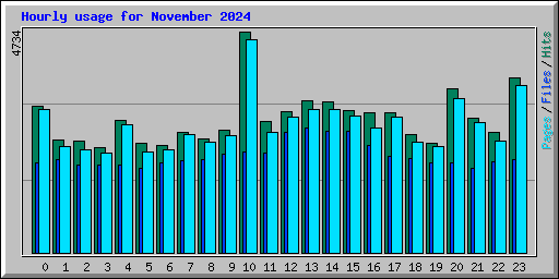 Hourly usage for November 2024