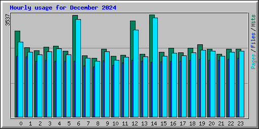 Hourly usage for December 2024