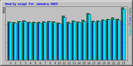 Hourly usage for January 2025