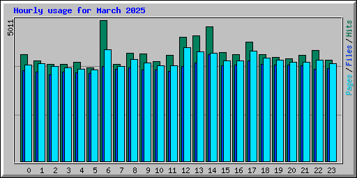 Hourly usage for March 2025