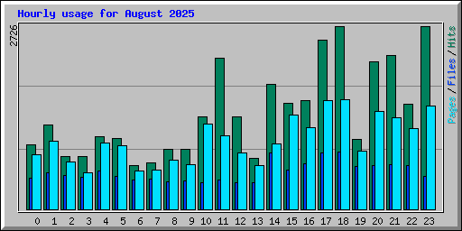 Hourly usage for August 2025